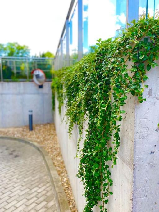 Smart Art :) Z Bezplatnym Parkingiem Podziemnym Apartment Келце Екстериор снимка